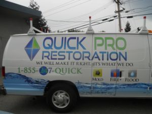 Vehicle Graphics and Wraps (3)