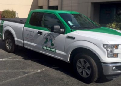 Vehicle Graphics and Wraps
